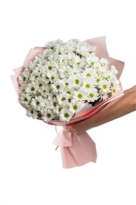 Букет из 15 белых кустовых хризантем (Бакарди) в оформлении 2434_9CC74