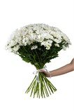 Букет из 25 белых кустовых хризантем (Бакарди) с лентой. 2435_E7660